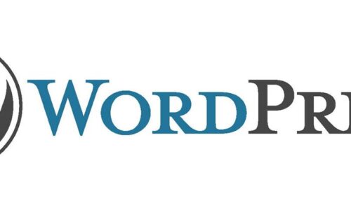 wordpress logo datainflow 500x300 - WordPress