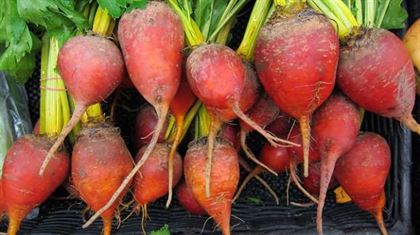 Beets  - Eat Right for Blood - Delicious Fruit and Food