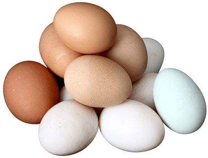 Eggs - Eat Right for Blood - Delicious Fruit and Food