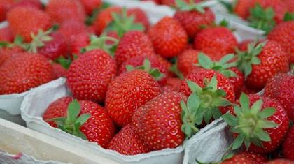 strawberries - Eat Right for Blood - Delicious Fruit and Food