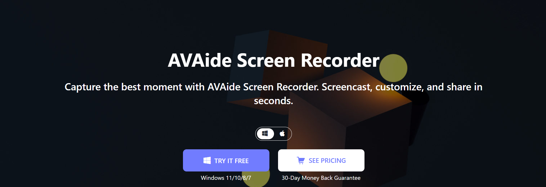 AVAide - Top 5 Professional Screen Recorder or Video Editor